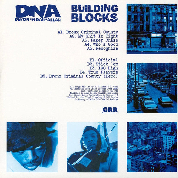 DNA (20) : Building Blocks (LP, Album, Ltd, RE)