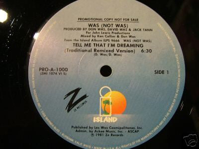 Was (Not Was) : Tell Me That I'm Dreaming (12", Promo)