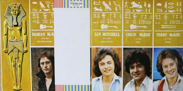 Rosetta Stone (2) : Rock Pictures (LP, Album, Gat)