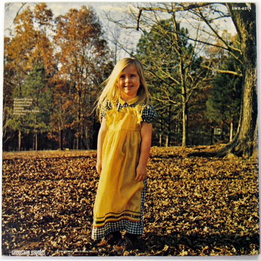 The Allman Brothers Band : Brothers And Sisters (LP, Album, RE, Gat)