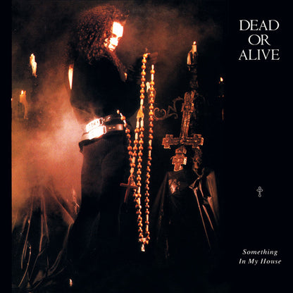 Dead Or Alive : Something In My House (12")