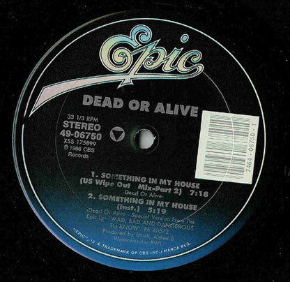 Dead Or Alive : Something In My House (12")