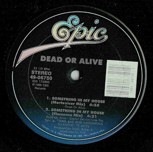 Dead Or Alive : Something In My House (12")