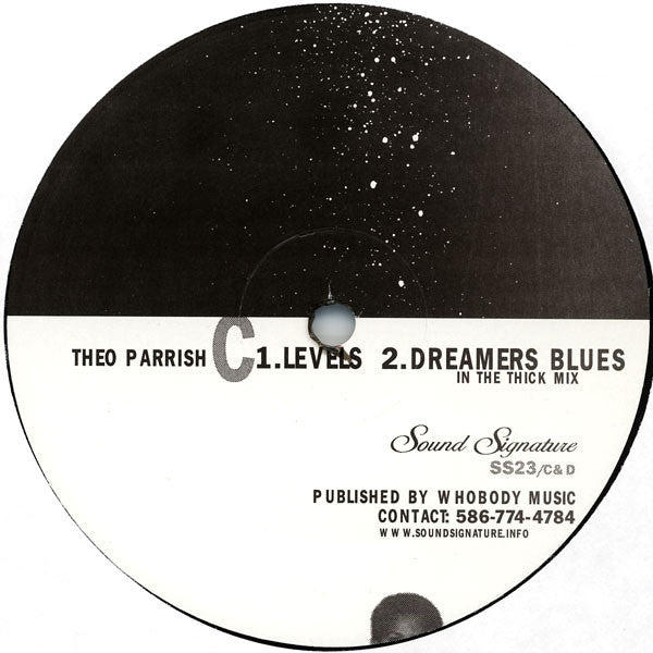 Theo Parrish : Levels (12")