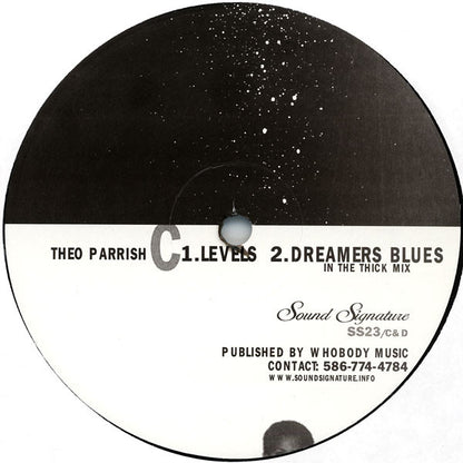 Theo Parrish : Levels (12")