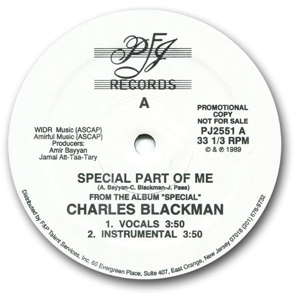 Charles Blackman : Special Part Of Me (12", Promo)