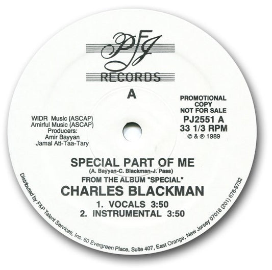 Charles Blackman : Special Part Of Me (12", Promo)