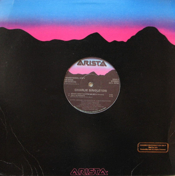 Charlie Singleton : Money Won't Change Me (12", Promo)
