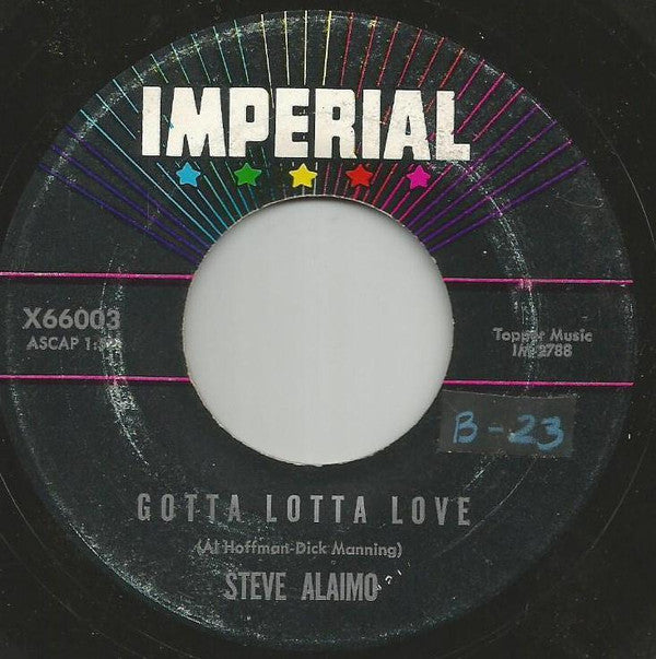 Steve Alaimo : Happy Pappy / Gotta Lotta Love (7", Single)