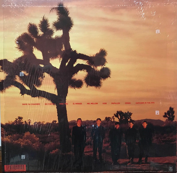 The Square* : Yes, No. (LP, Album)