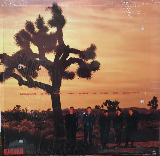 The Square* : Yes, No. (LP, Album)