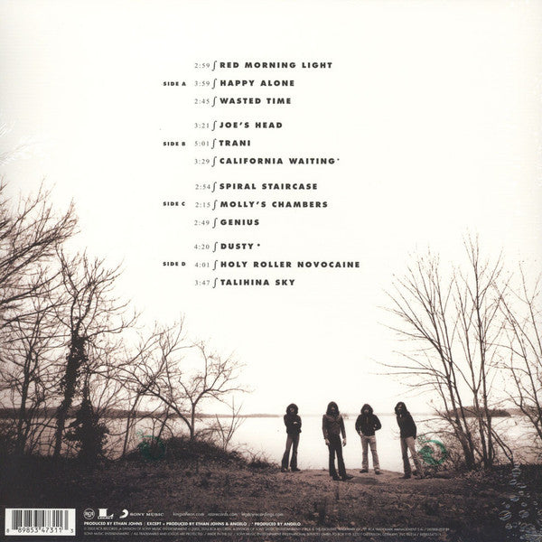 Kings Of Leon : Youth & Young Manhood (2xLP, Album, RE, RM)