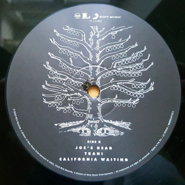 Kings Of Leon : Youth & Young Manhood (2xLP, Album, RE, RM)