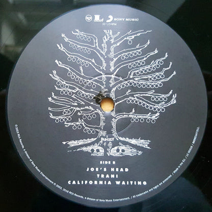 Kings Of Leon : Youth & Young Manhood (2xLP, Album, RE, RM)