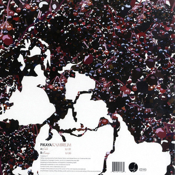 Pikaya : Kambrium (12")