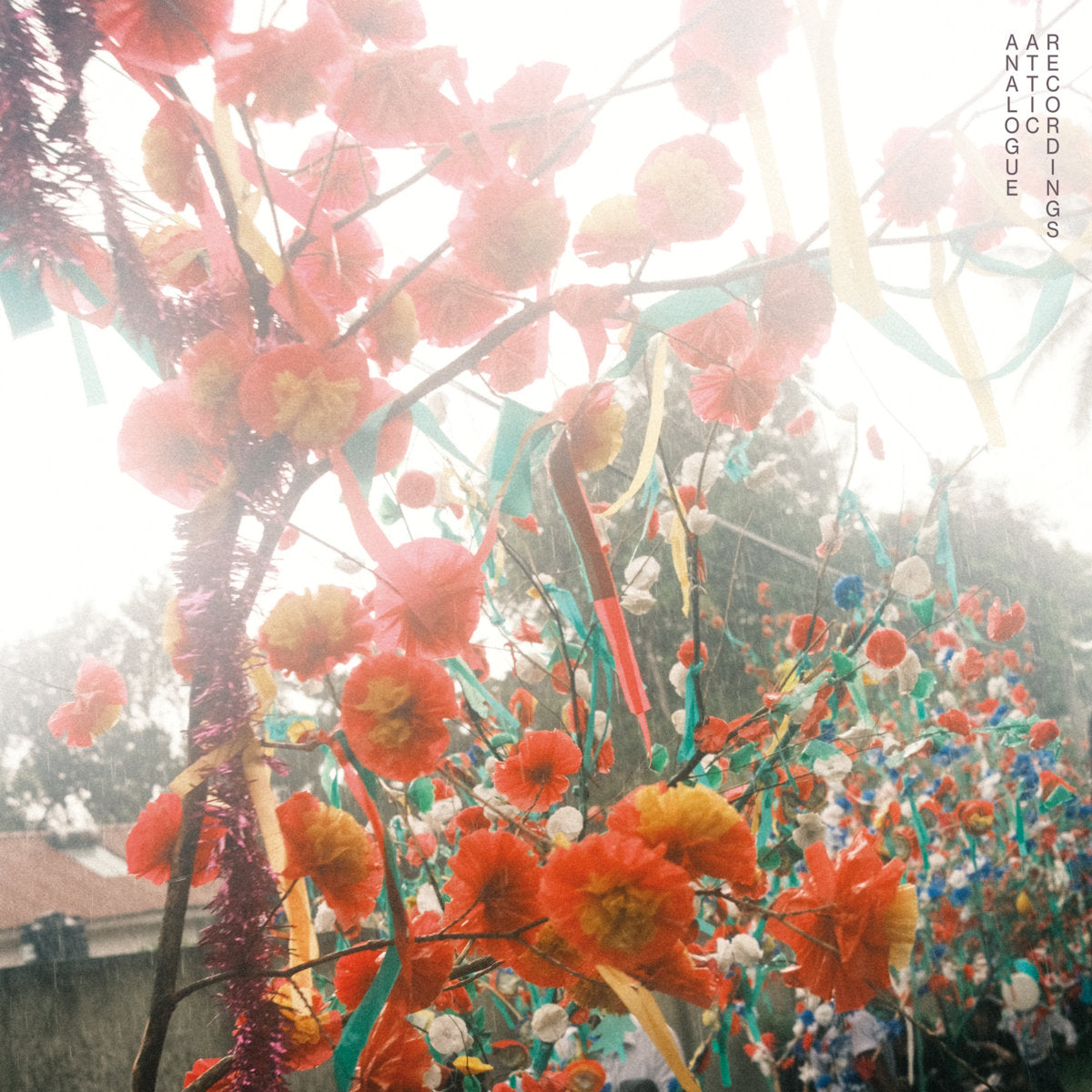 Alex Albrecht -  Hiriketiya (LP, Ltd) (Mint (M))