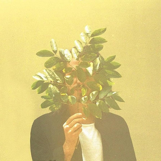 FKJ* - French Kiwi Juice (2xLP, Album, RP, Gat) (Mint (M))