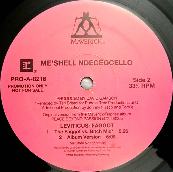 Me'Shell NdegéOcello - Leviticus: Faggot (12", 33 ⅓ RPM, Promo) (Very Good Plus (VG+))
