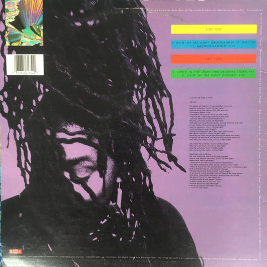 Caron Wheeler - Livin' In The Light (12", 33 ⅓ RPM) (Very Good Plus (VG+))