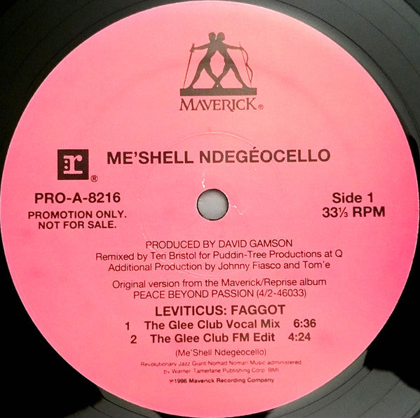 Me'Shell NdegéOcello - Leviticus: Faggot (12", 33 ⅓ RPM, Promo) (Very Good Plus (VG+))