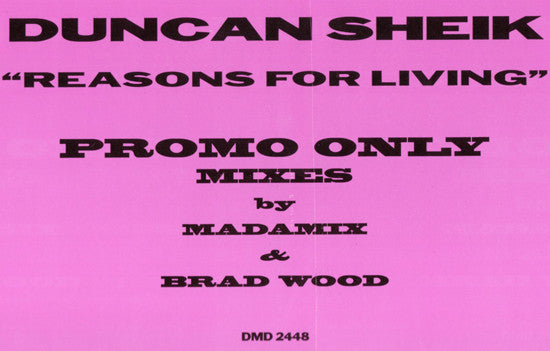 Duncan Sheik - Reasons For Living (12", 33 ⅓ RPM, Promo, Stereo) (Very Good Plus (VG+))