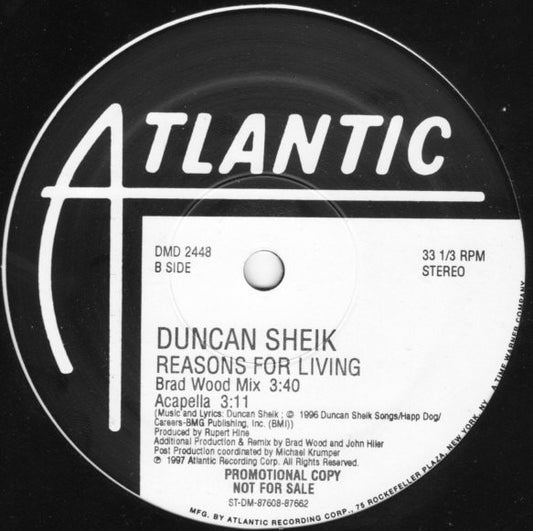 Duncan Sheik - Reasons For Living (12", 33 ⅓ RPM, Promo, Stereo) (Very Good Plus (VG+))