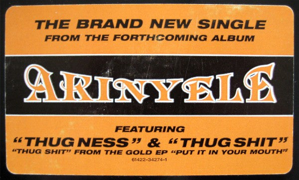 Akinyele - Thug Ness (12", Single, RM) (Very Good Plus (VG+))