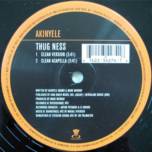 Akinyele - Thug Ness (12", Single, RM) (Very Good Plus (VG+))