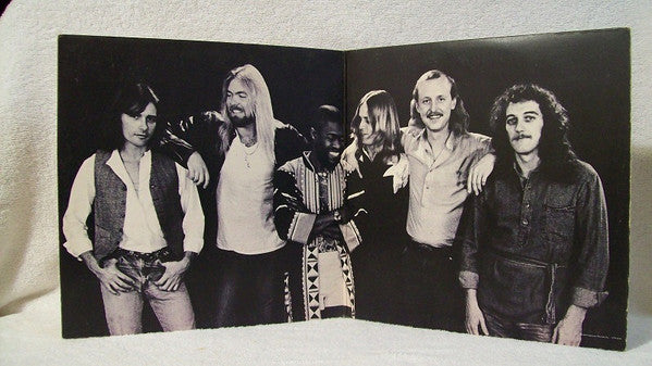 The Allman Brothers Band - Enlightened Rogues (LP, Album, Stereo) (Very Good Plus (VG+))