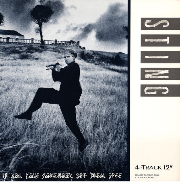 Sting - If You Love Somebody Set Them Free (12", 45 RPM, Stereo) (Very Good Plus (VG+))