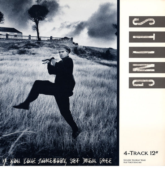 Sting - If You Love Somebody Set Them Free (12", 45 RPM, Stereo) (Very Good Plus (VG+))
