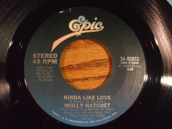 Molly Hatchet - Kinda Like Love / Sweet Dixie (7", 45 RPM) (Very Good (VG))