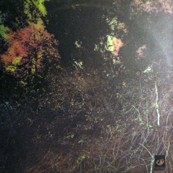 The Dillards - Roots And Branches (LP, Album, Stereo) (Very Good Plus (VG+))