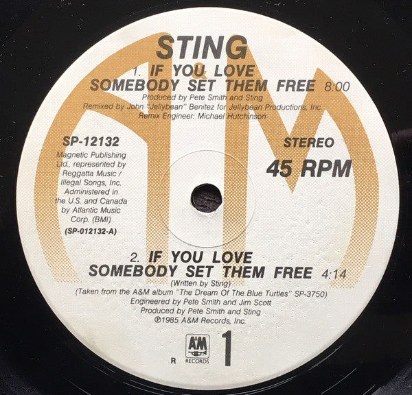Sting - If You Love Somebody Set Them Free (12", 45 RPM, Stereo) (Very Good Plus (VG+))