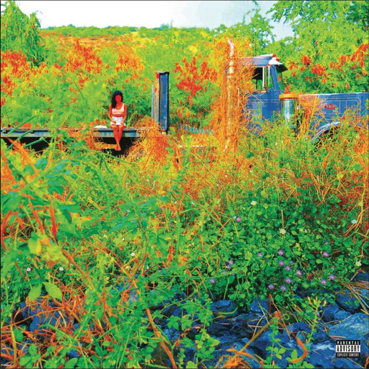 Jhene Aiko - Trip (2LP) - RSD 2026 Picture Disc Vinyl