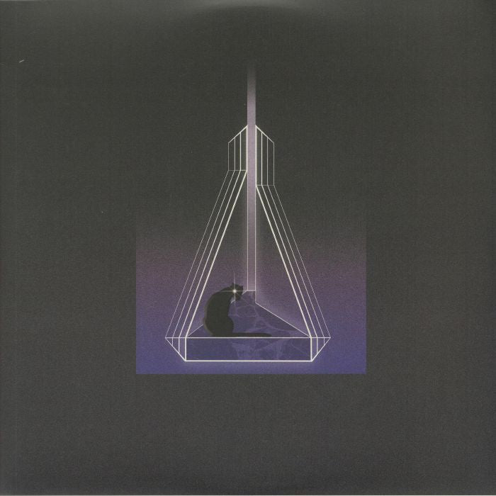 Seven Davis Jr. - I See The Future (2xLP, Album) (Mint (M))