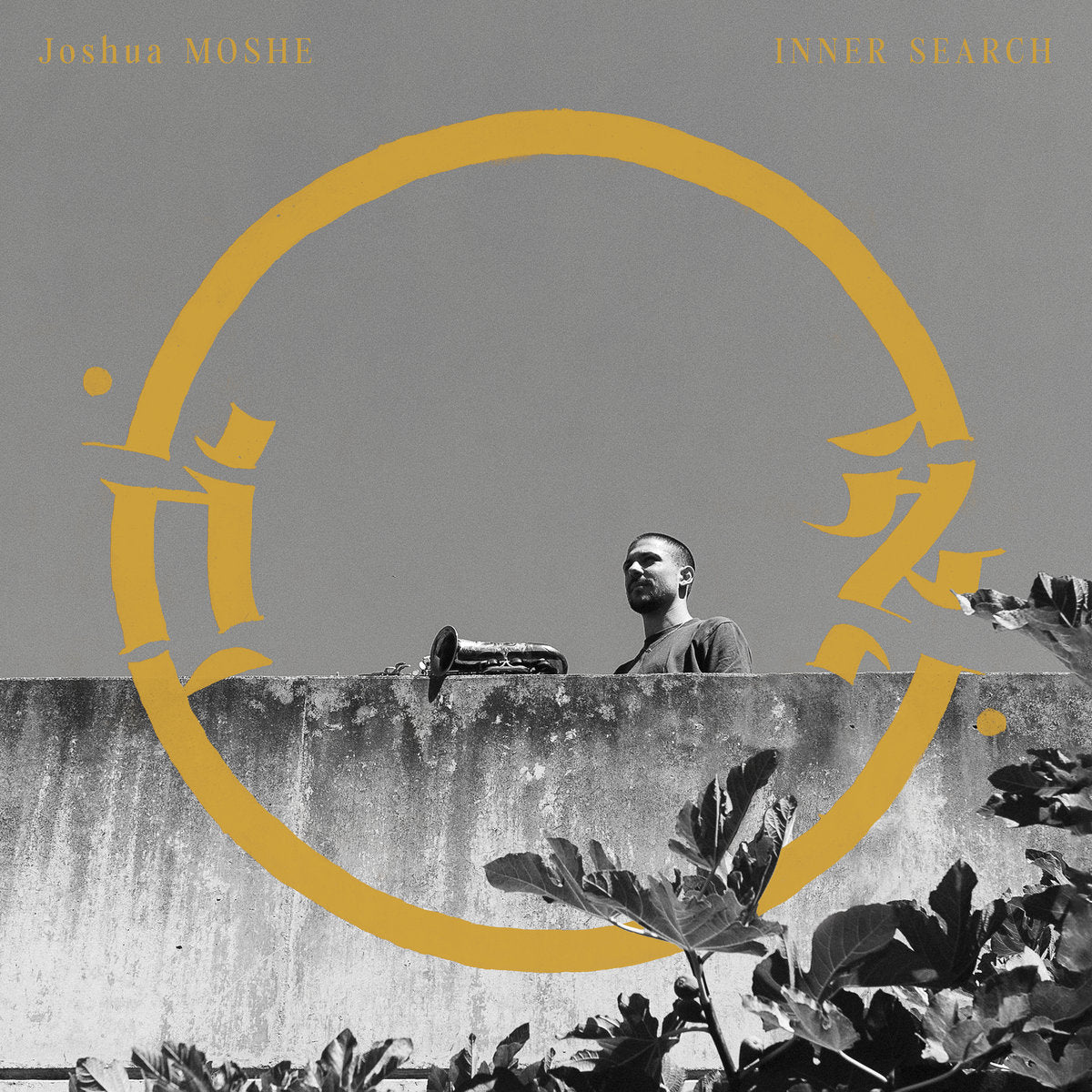 Joshua Moshe - Inner Search (LP)