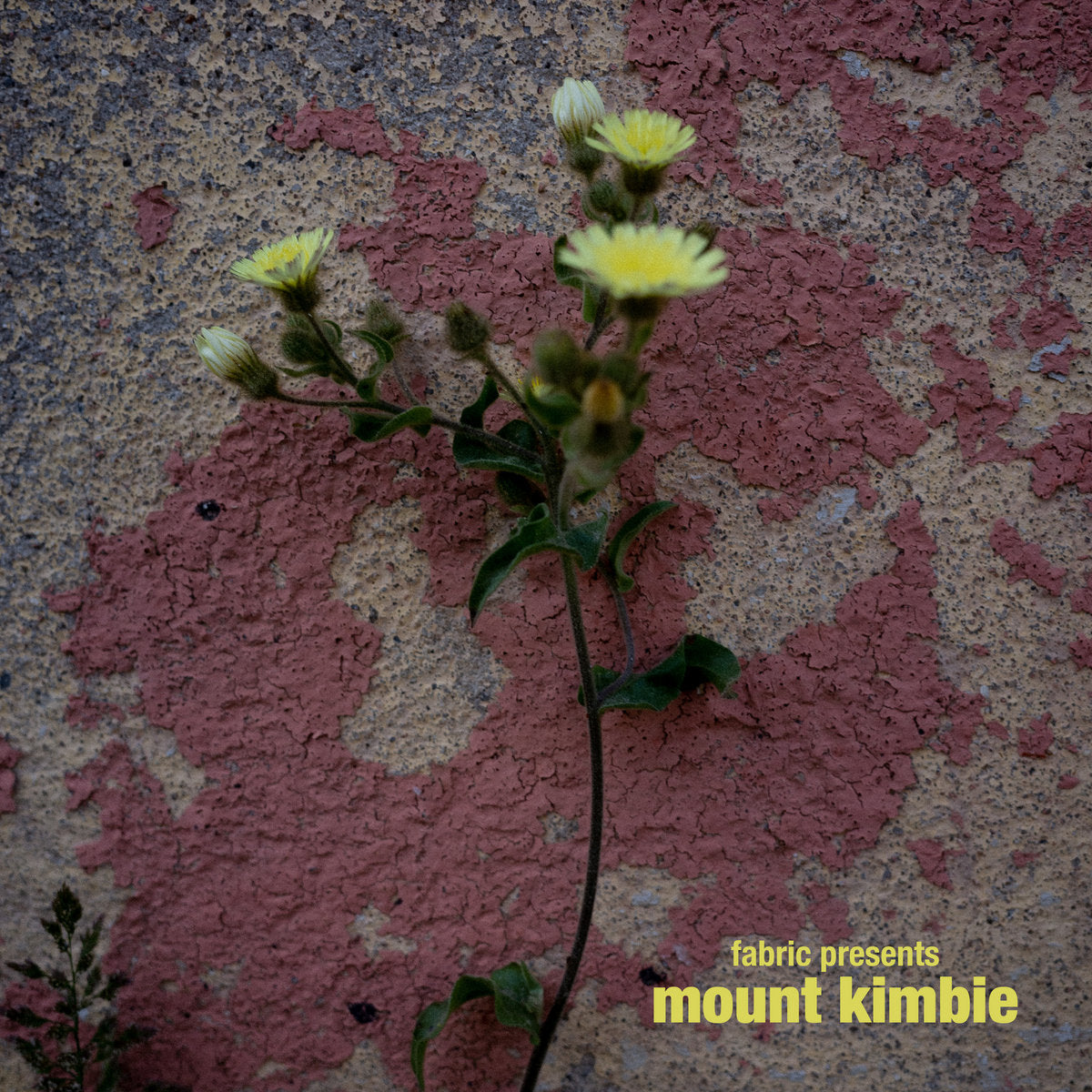 Mount Kimbie - fabric presents Mount Kimbie (LP)