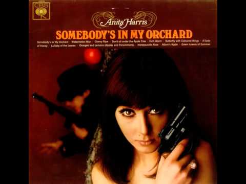 Anita Harris - Butterfly With Coloured Wings (1966)
