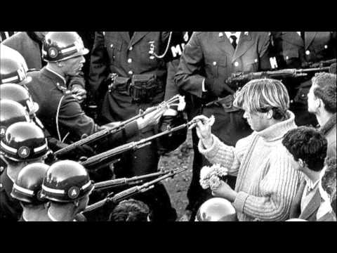 The Buckinghams - Foreign Policy