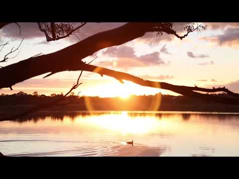 Ewan Jansen - Swan [REREO3]