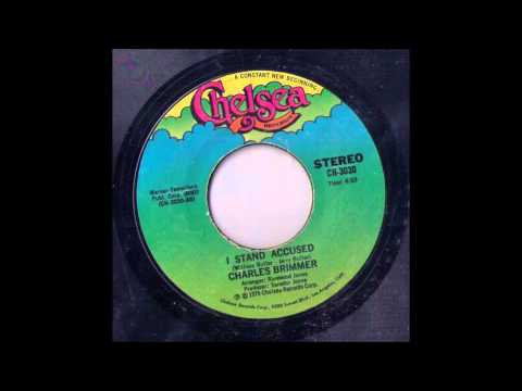 Charles Brimmer - I Stand Accused