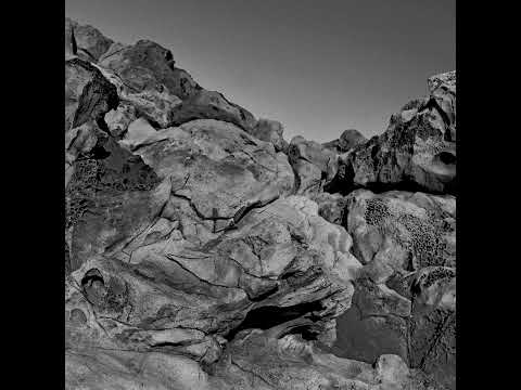 Pugilist - Fourth Day