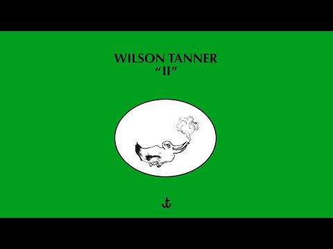 Wilson Tanner - My Gull