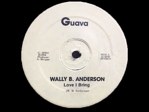 Wally B. Anderson - Love I Bring - 12 inch - 1986