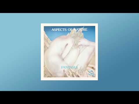 Ralph Lundsten / Wynand Ott - Aspects Of Nature / Fantasia, 1982