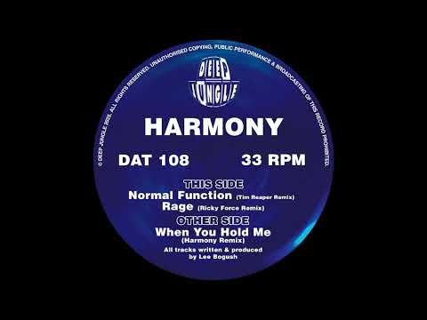[DAT108] Harmony - When You Hold Me (Harmony Remix)