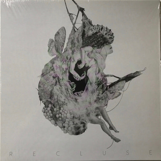 Intriguant : Recluse (LP)