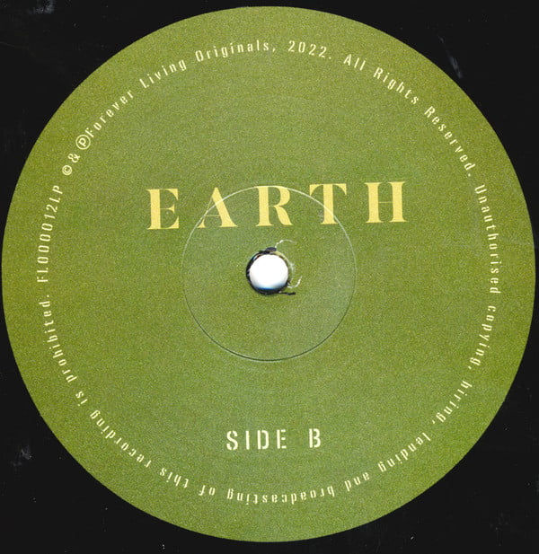 Sault : Earth (LP, Album)